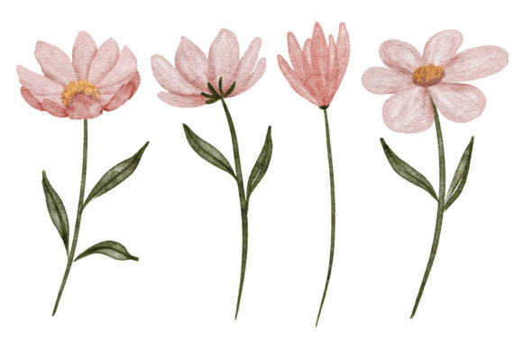 Download Watercolor Petal Cosmos Flower Element - Flower Collection