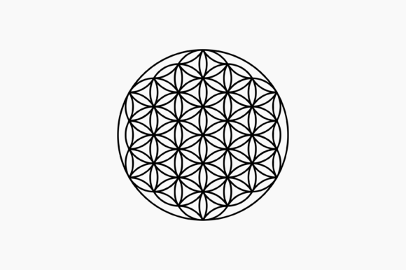 Download Flower of Life Symbol - Flower Collection